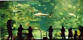 ACUARIO DE VERACRUZ