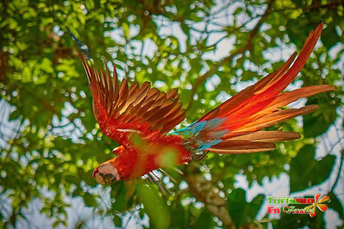 Reserva Ecológica de Nanciyaga en Catemaco, Veracruz